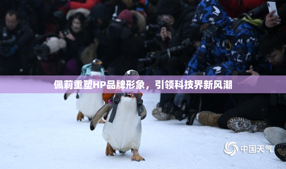 佩莉重塑HP品牌形象，引领科技界新风潮