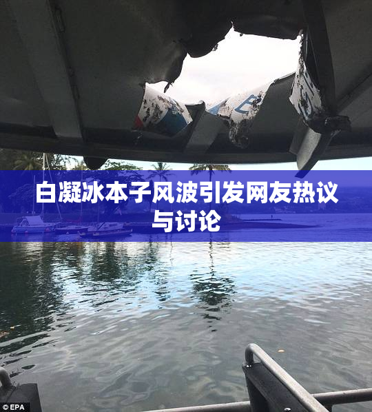 白凝冰本子风波引发网友热议与讨论