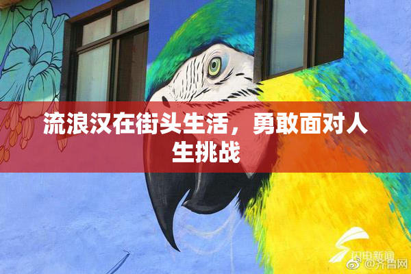 流浪汉在街头生活，勇敢面对人生挑战