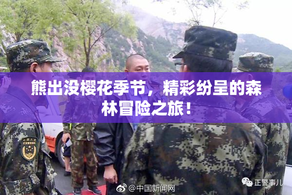 熊出没樱花季节，精彩纷呈的森林冒险之旅！