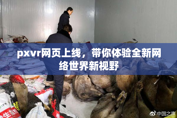pxvr网页上线，带你体验全新网络世界新视野