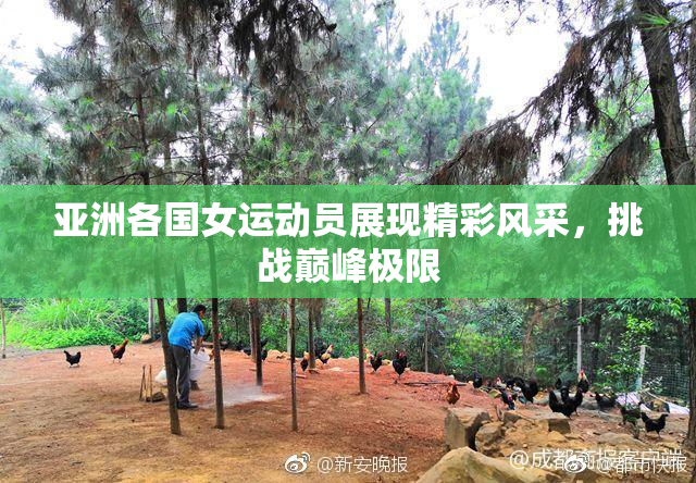 亚洲各国女运动员展现精彩风采，挑战巅峰极限