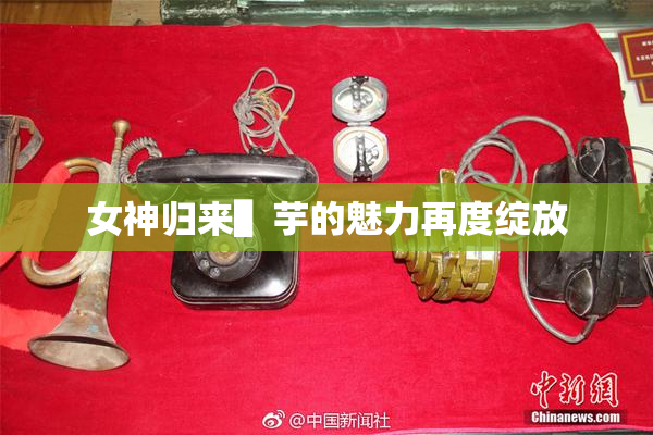 女神归来▌芋的魅力再度绽放