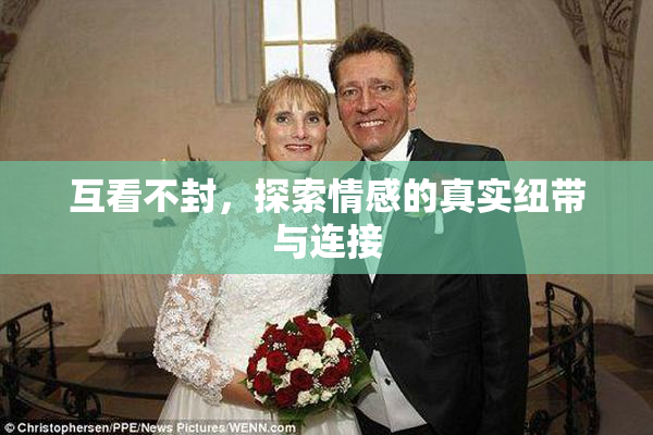 互看不封，探索情感的真实纽带与连接