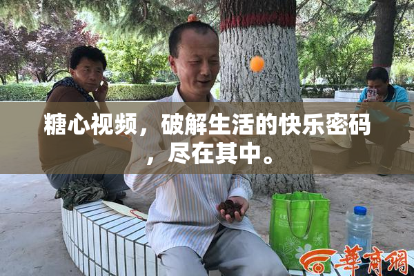 糖心视频，破解生活的快乐密码，尽在其中。