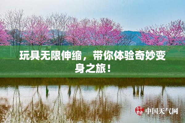玩具无限伸缩，带你体验奇妙变身之旅！