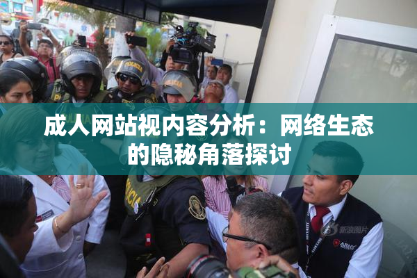 成人网站视内容分析：网络生态的隐秘角落探讨