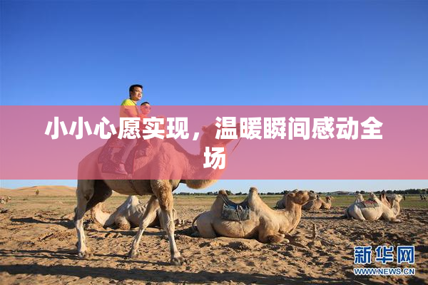 小小心愿实现，温暖瞬间感动全场