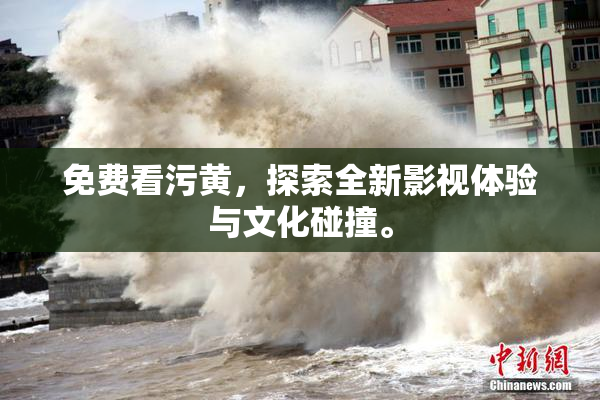 免费看污黄，探索全新影视体验与文化碰撞。