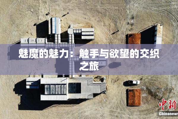 魅魔的魅力：触手与欲望的交织之旅