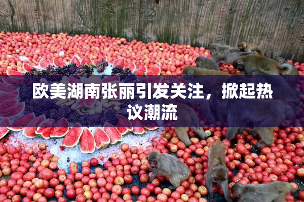 欧美湖南张丽引发关注，掀起热议潮流