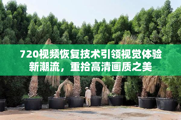 720视频恢复技术引领视觉体验新潮流，重拾高清画质之美