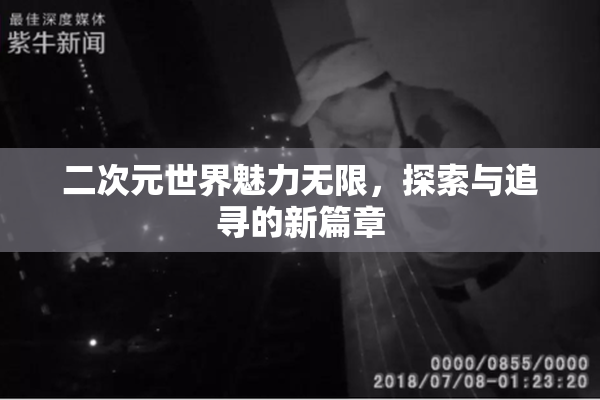 二次元世界魅力无限，探索与追寻的新篇章