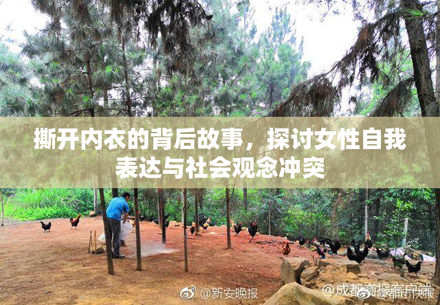 撕开内衣的背后故事，探讨女性自我表达与社会观念冲突