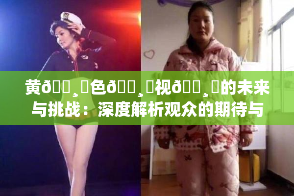 黄🌸‌色🌸‌视🌸‌的未来与挑战：深度解析观众的期待与需求