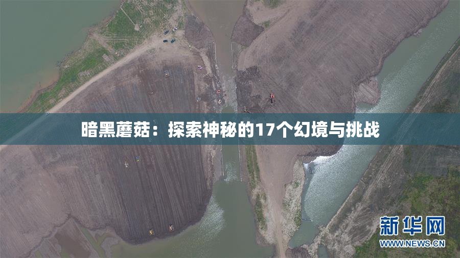 暗黑蘑菇：探索神秘的17个幻境与挑战