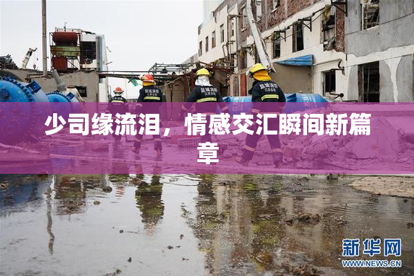 少司缘流泪，情感交汇瞬间新篇章
