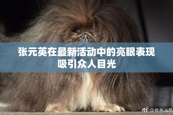 张元英在最新活动中的亮眼表现吸引众人目光