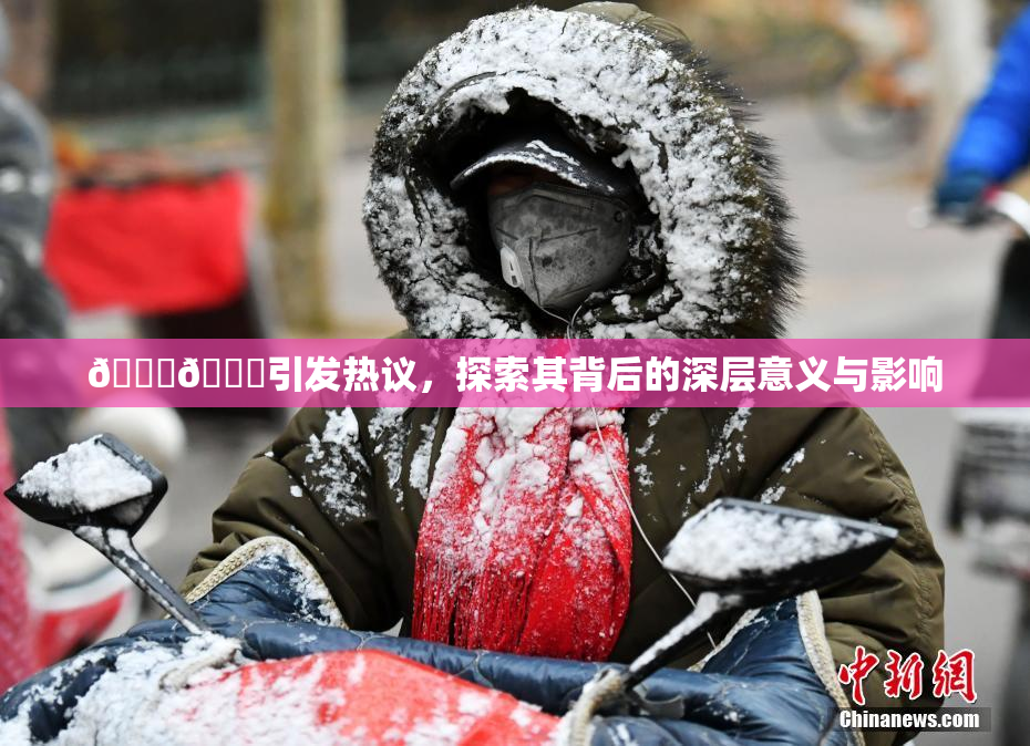 🐔🐔引发热议，探索其背后的深层意义与影响