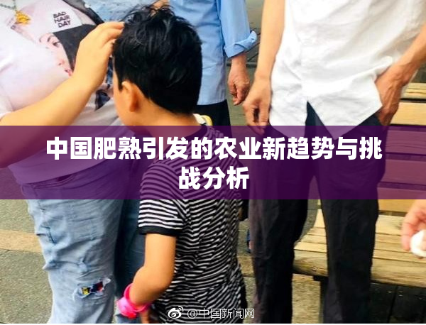 中国肥熟引发的农业新趋势与挑战分析