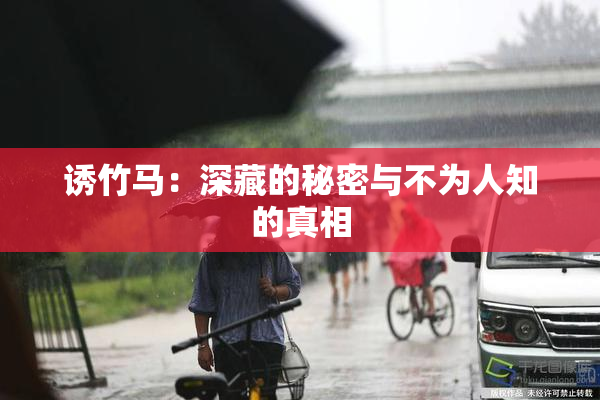 诱竹马：深藏的秘密与不为人知的真相