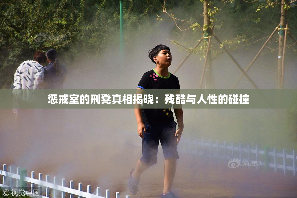 惩戒室的刑凳真相揭晓：残酷与人性的碰撞