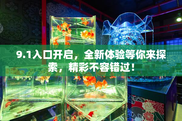9.1入口开启，全新体验等你来探索，精彩不容错过！