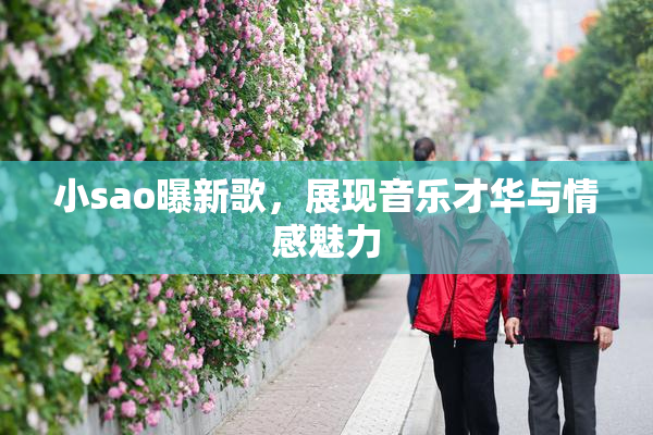 小sao曝新歌，展现音乐才华与情感魅力