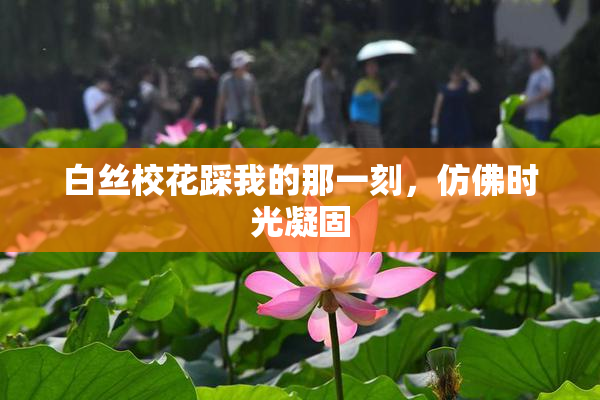 白丝校花踩我的那一刻，仿佛时光凝固