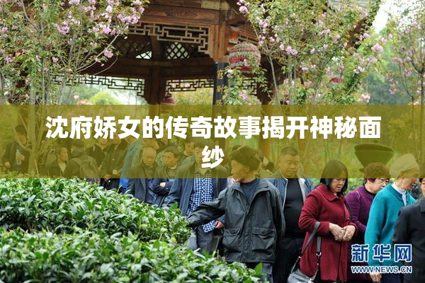 沈府娇女的传奇故事揭开神秘面纱