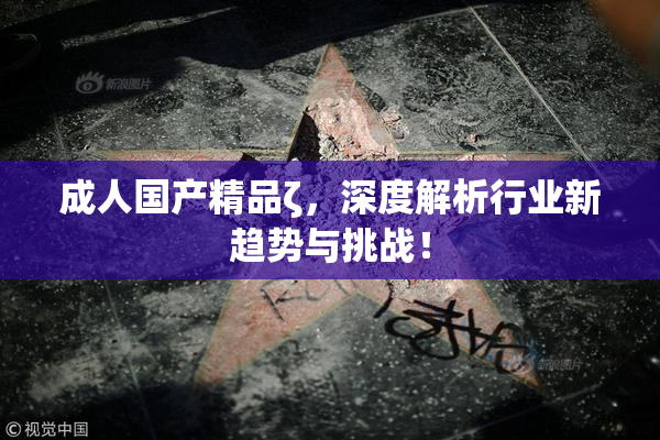 成人国产精品ζ，深度解析行业新趋势与挑战！