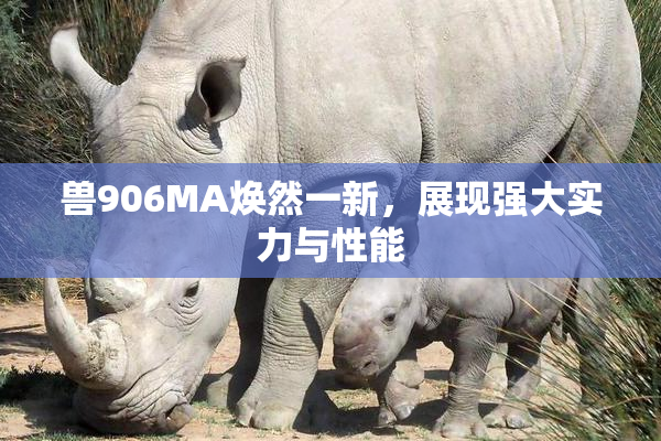 兽906MA焕然一新，展现强大实力与性能