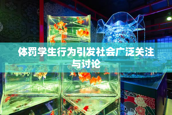 体罚学生行为引发社会广泛关注与讨论