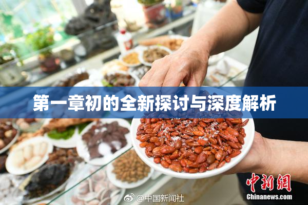 第一章初的全新探讨与深度解析