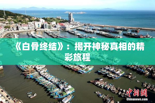 《白骨终结》：揭开神秘真相的精彩旅程