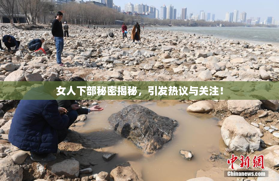 女人下部秘密揭秘，引发热议与关注！