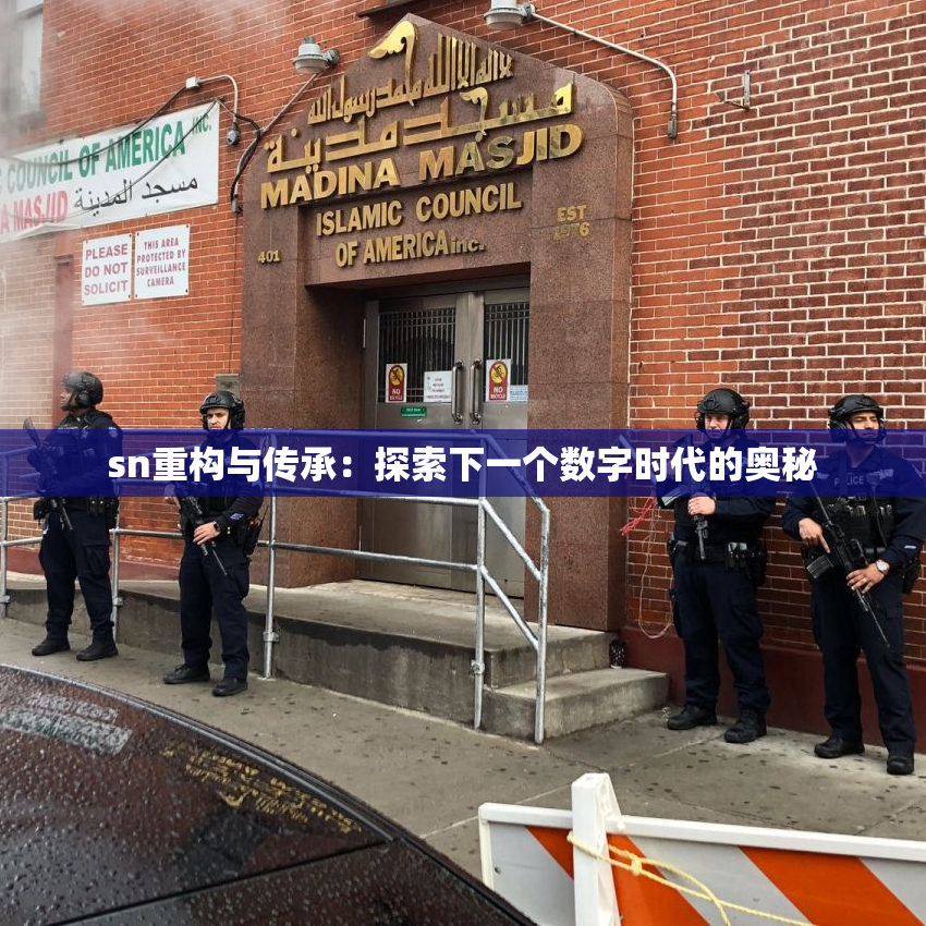 sn重构与传承：探索下一个数字时代的奥秘