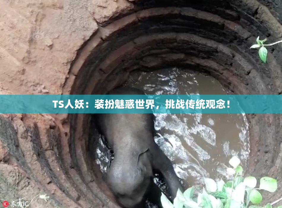 TS人妖：装扮魅惑世界，挑战传统观念！