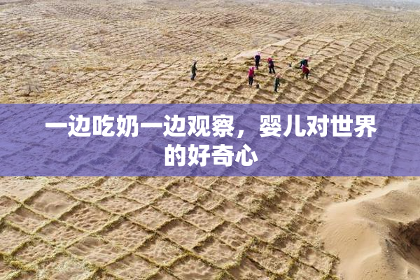 一边吃奶一边观察，婴儿对世界的好奇心