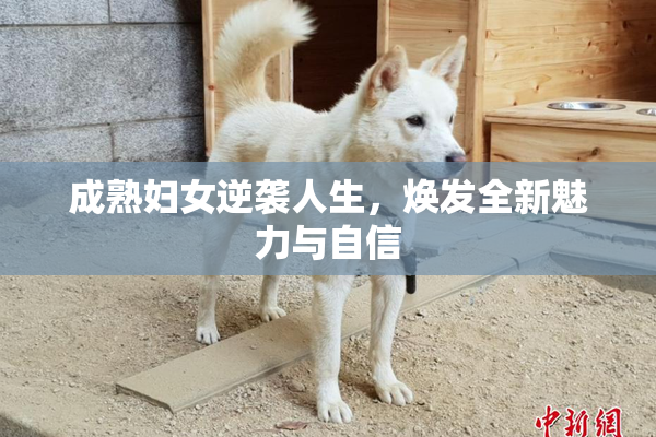成熟妇女逆袭人生，焕发全新魅力与自信