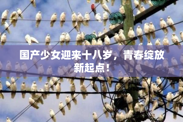 国产少女迎来十八岁，青春绽放新起点！