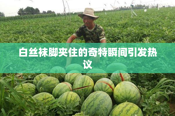 白丝袜脚夹住的奇特瞬间引发热议