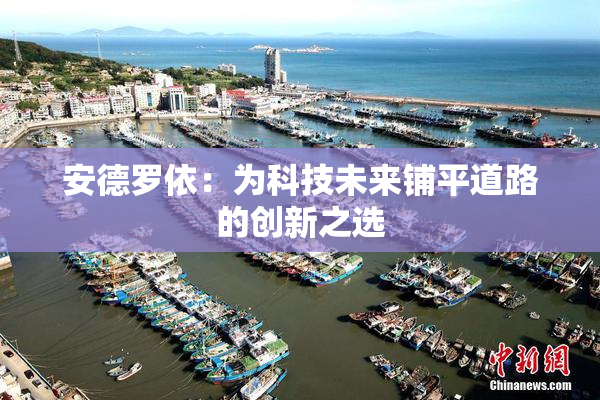 安德罗依：为科技未来铺平道路的创新之选