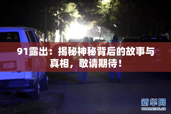 91露出：揭秘神秘背后的故事与真相，敬请期待！