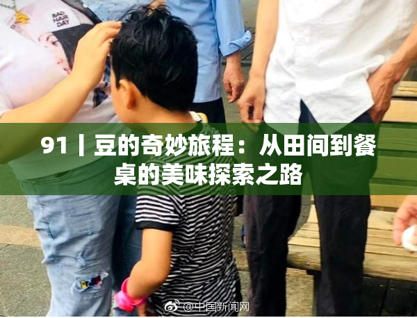 91丨豆的奇妙旅程：从田间到餐桌的美味探索之路