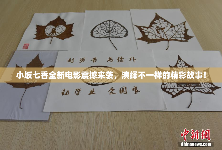 小坂七香全新电影震撼来袭，演绎不一样的精彩故事！
