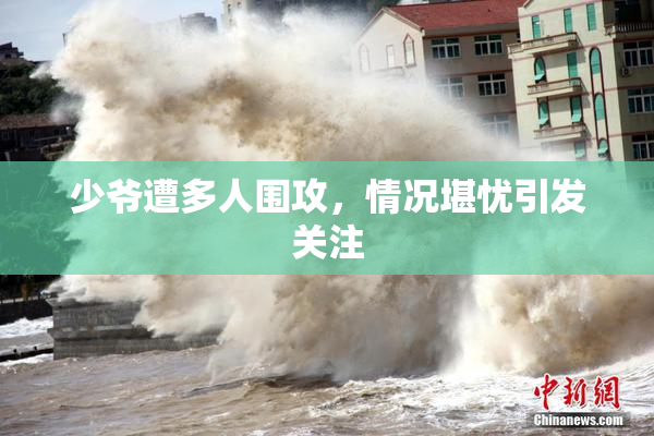 少爷遭多人围攻，情况堪忧引发关注