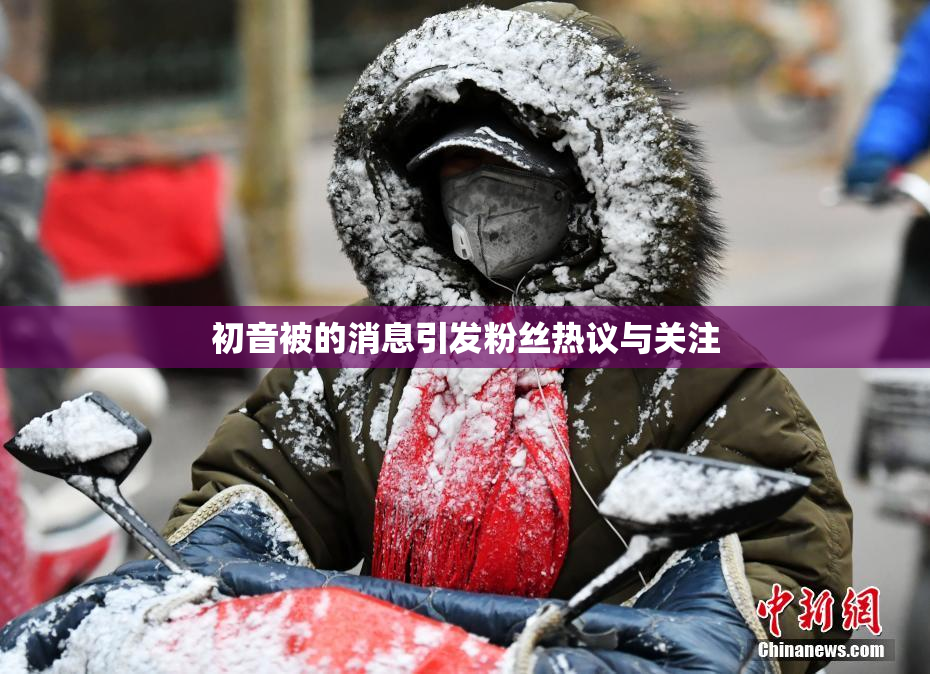 初音被的消息引发粉丝热议与关注