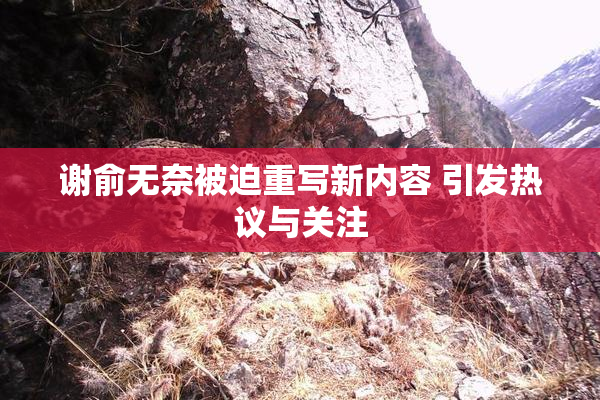 谢俞无奈被迫重写新内容 引发热议与关注