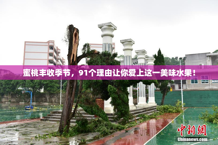 蜜桃丰收季节，91个理由让你爱上这一美味水果！